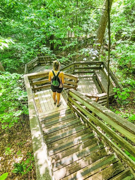 Hemlock Bluffs Nature Preserve, Cary: See 228 reviews, articles, and 83 photos of Hemlock Bluffs Nature Preserve, ranked No.2 on Tripadvisor among 63 attractions in Cary.